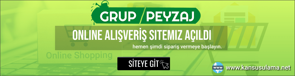 online alışveriş