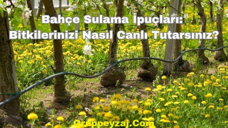 subcatimg